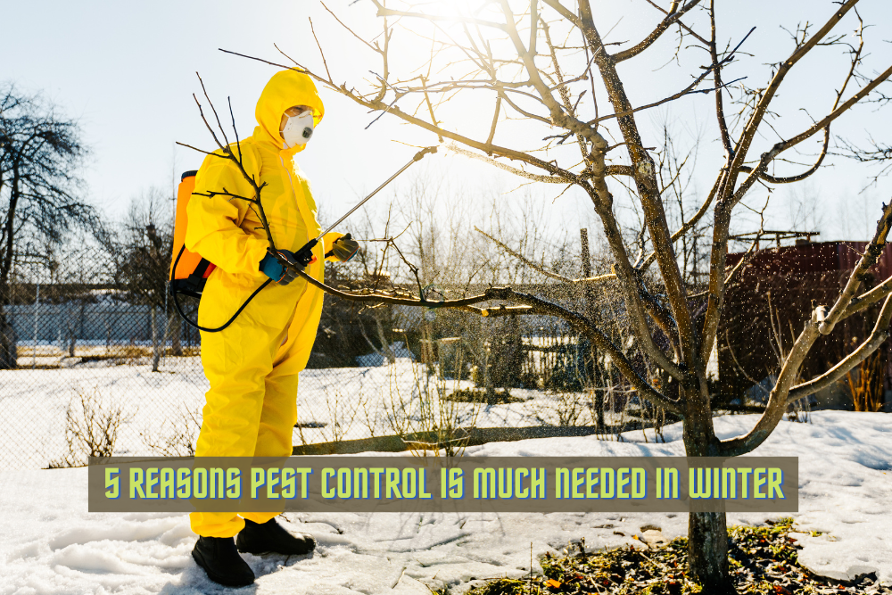 pest control service