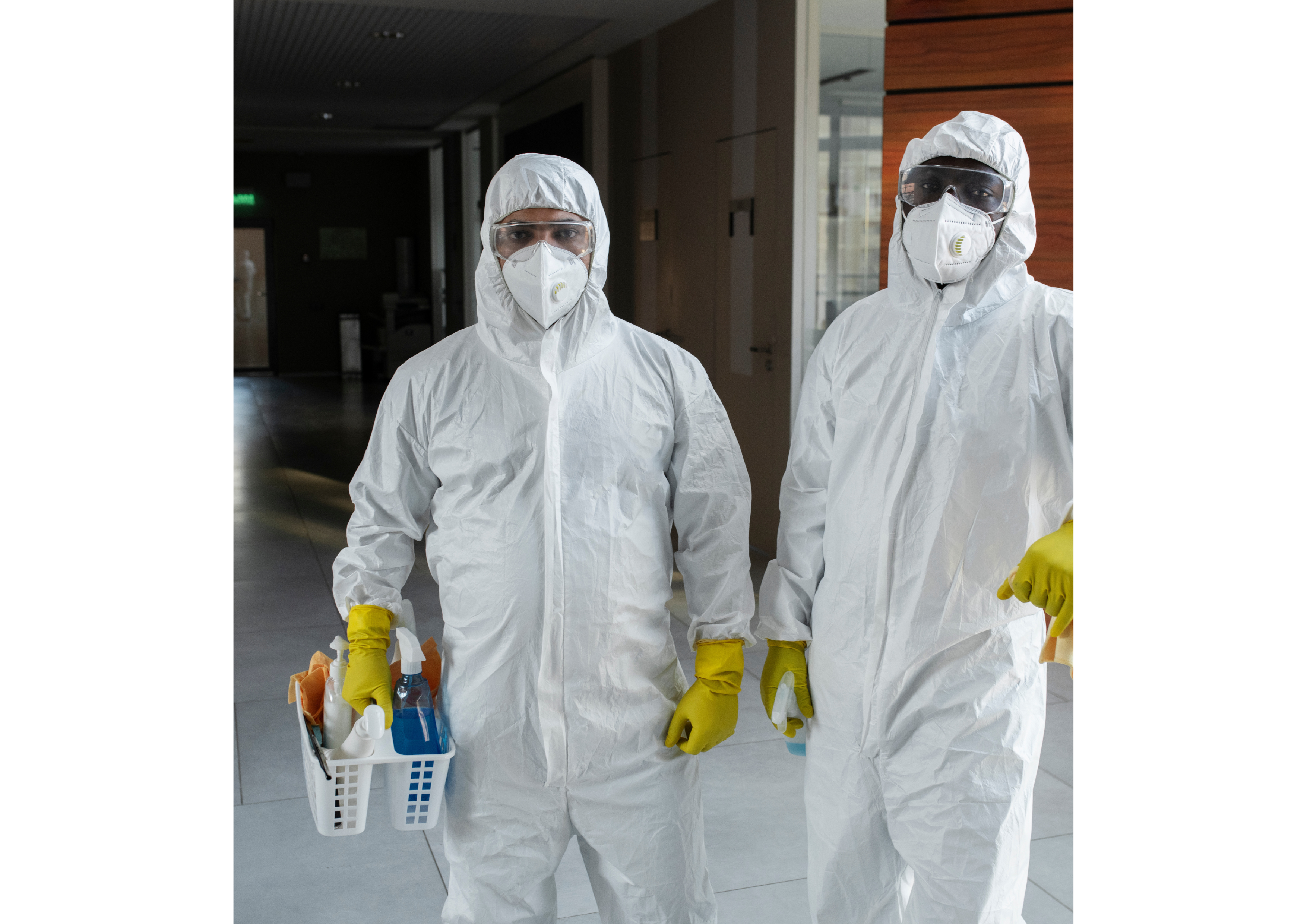 pest control service