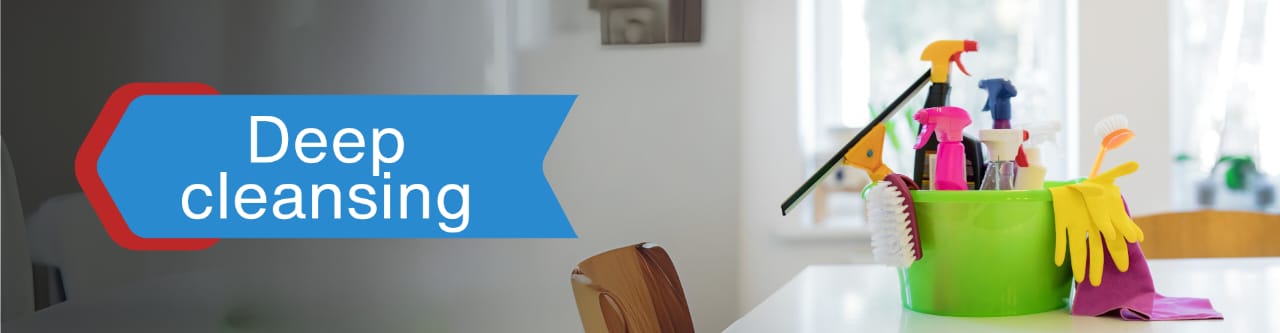 pest control service