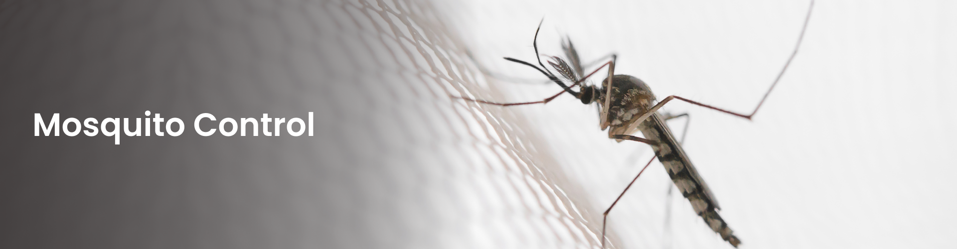 pest control service